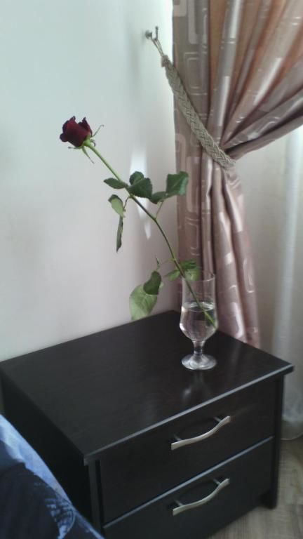 Апартаменты Pleasure Apartment near center of Odessa Одесса